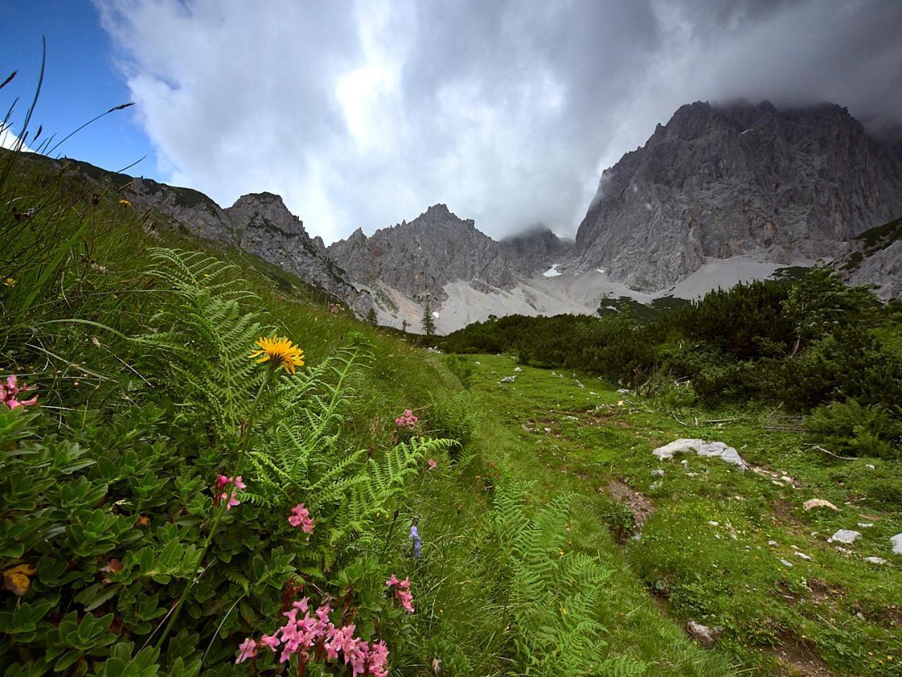 Eisbacherhof Schladming Εξωτερικό φωτογραφία